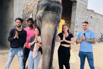 elephant sanctuary jaipur